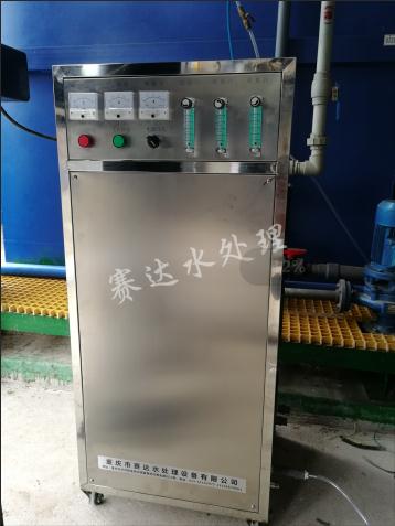 100g/小時(shí)臭氧發(fā)生器 臭氧